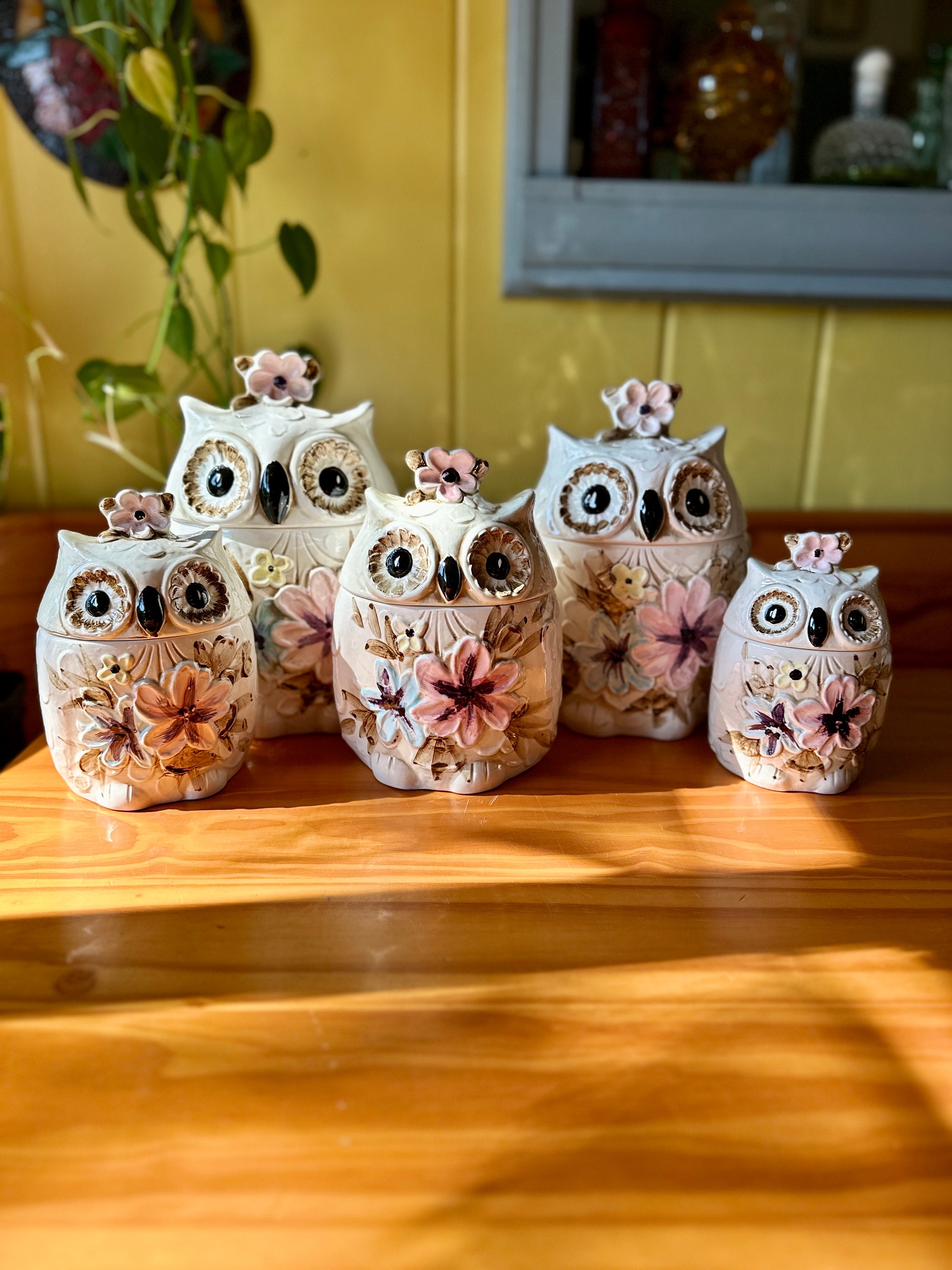 Rare Set of Five Vintage Napcoware Ceramic Owl Canisters/vintage