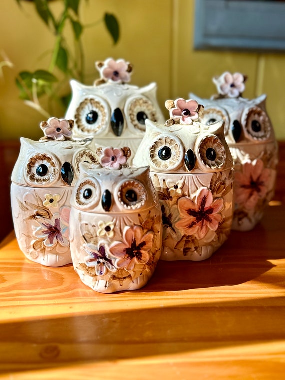 Rare Set of Five Vintage Napcoware Ceramic Owl Canisters/vintage