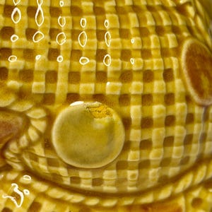 May include: Close-up of a ceramic object with a textured, checkered pattern in shades of yellow and brown. The surface has a glossy finish with raised, rounded details and a few small, white, droplet-shaped accents. The overall design suggests a decorative or functional item.