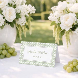 Può includere: Un segnaposto bianco piegato con un bordo geometrico a griglia verde, che riporta il nome stampato Amelia DuPont e il testo TABLE 5 in un carattere serif, posizionato su una superficie bianca tra due composizioni floreali bianche e uva verde.