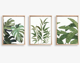 May include: Three framed prints of different tropical leaves. The first print features a large green monstera leaf. The second print features a branch of green eucalyptus leaves. The third print features a cluster of green banana leaves.