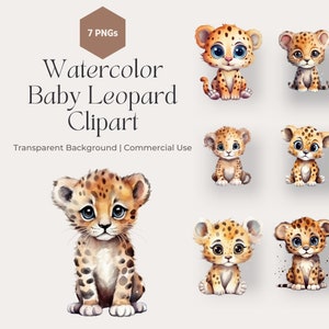 Acuarela bebé leopardo clipart, lindos leopardos safari animales, decoración de baby shower, decoración de guardería, PNG transparente, uso comercial