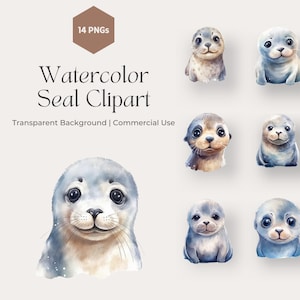 Aquarel zegel clipart, schattige zee dier clipart, transparante PNG, commercieel gebruik, kinderkamer decor, baby shower clipart, baby seal