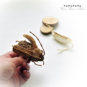 May include: A crocheted brown beetle with long antennae. The beetle is being held in a person's hand.