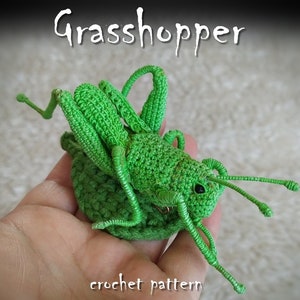Grasshopper Crochet Pattern, Insect Brooch, Green Amigurumi DIY (PDF Pattern)