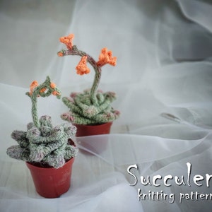 Modello succulento, pianta realistica per l'arredamento della casa. Modello a maglia per regalo fatto a mano per gli amanti delle piante e dei cactus. Realizzazione semplice di gioielli fatti a mano