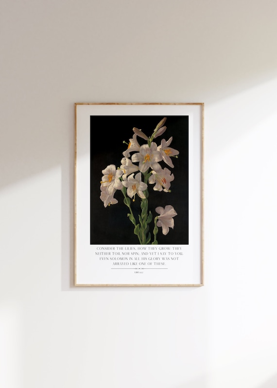 Consider the Lilies Wall Art, Botanical Vintage Art, Moody Christian Art Print, Luke 12:27 Bible Verse Quote, Digital Art Download