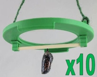 Raupe Anhänger (10 Stück)