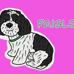 Dessins animés personnalisés de vos animaux de compagnie!