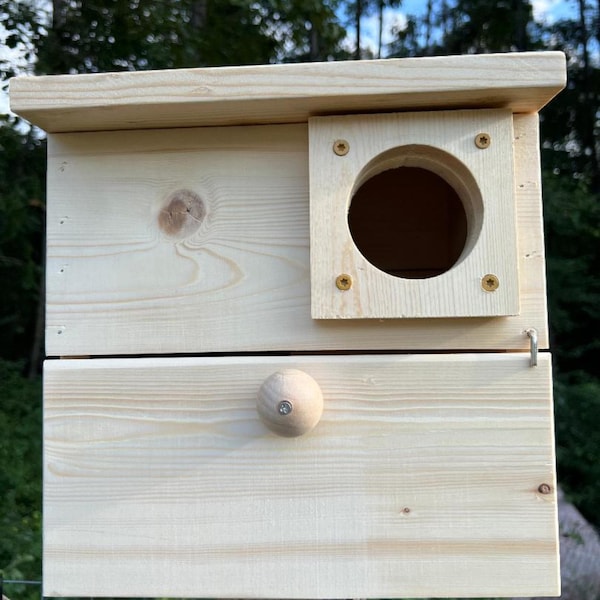 Squirrel House With Camera - Etsy