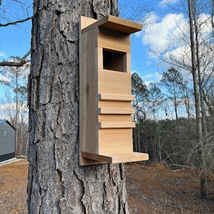 Large owl box, owl nesting box, owl nesting house, screech owl box, screech owl house