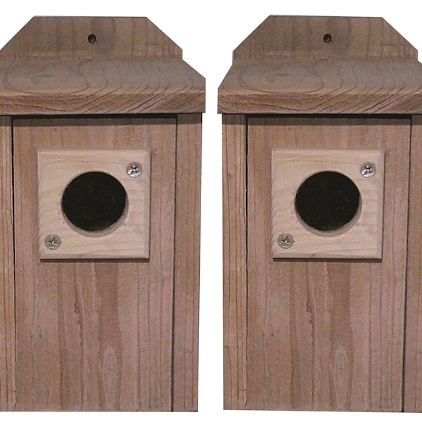 Large Bird house, hanging bird house, bluebird house, birdhouse kit, bird box, shopthesegifts, thisbackyard, bluebird box, bird nesting box