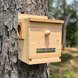 Squirrel House box, 2 Holes, squirrel Nesting Box, Squirrel House, Squirrel nesting Box,  predator guard, squirrel nesting house