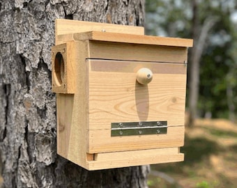 Extra large Squirrel House, nesting box with predator guard, mom, dad, gift, birthday, outdoor
