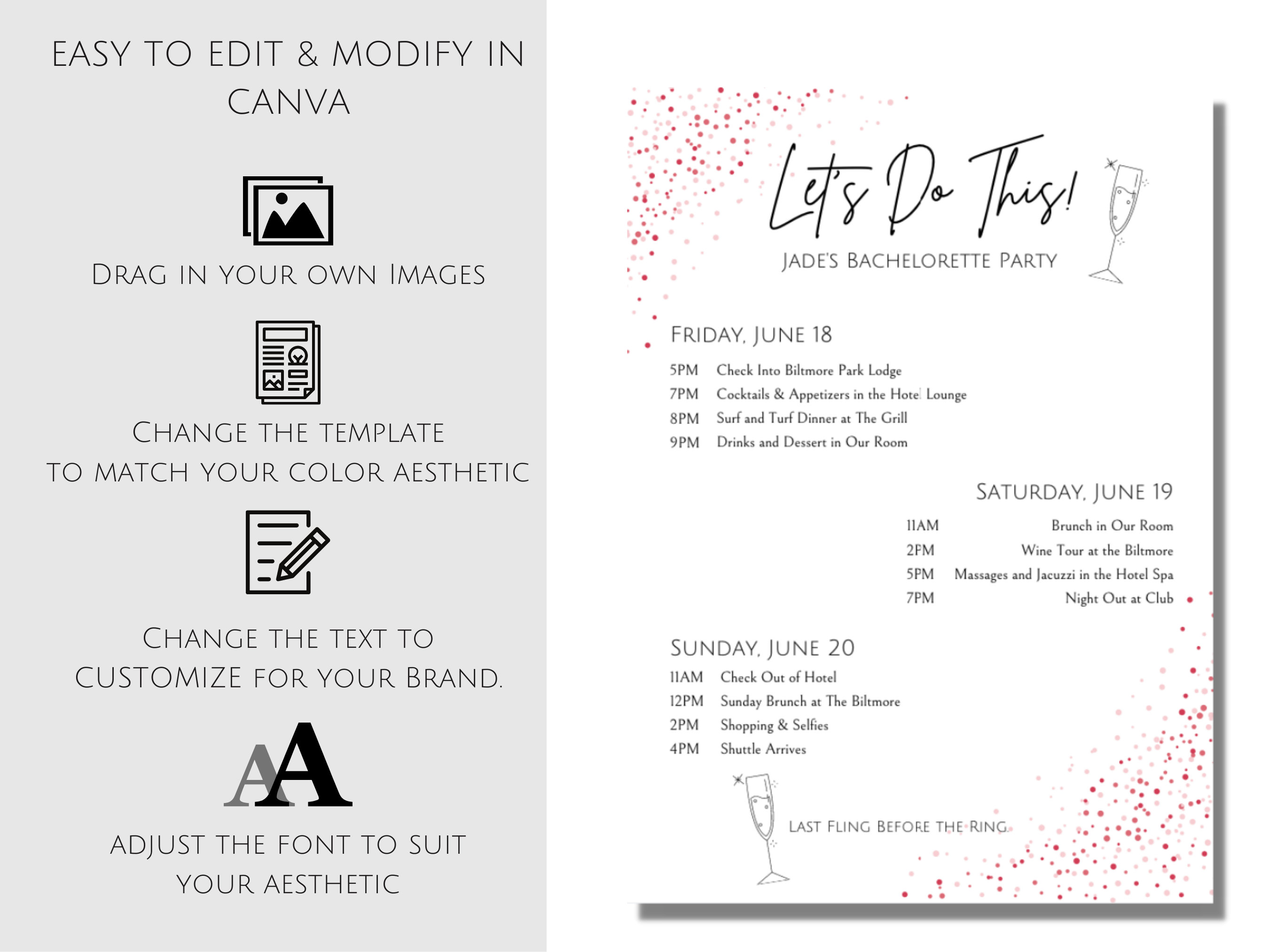 Printable Bachelorette Party Itinerary Template Printable - Etsy