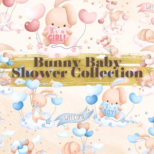 Hase Ballon Clipart, Baby Hase Clipart, Aquarell Hase PNG, Baby-Dusche Hase Clipart, Hase Baby-Dusche Clipart, rosa Hase, blau Hase