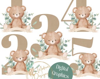 Teddy bear Number Set, Gender Neutral bear birthday, brown teddy bear numbers, eucalyptus bear number clipart, teddy bear first birthday PNG