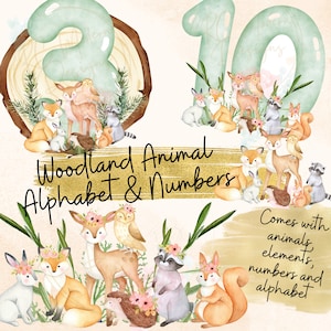 Woodland Animal Clipart, Baby woodland clipart, Woodland animal PNG, woodland animal alphabet, Woodland numbers PNG, Watercolor woodland png