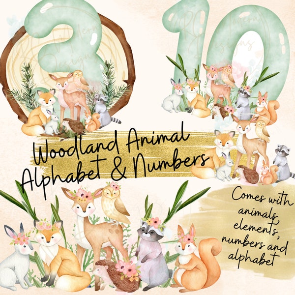 Woodland Animal Clipart, Baby woodland clipart, Woodland animal PNG, woodland animal alphabet, Woodland animal numbers, Watercolor woodlands