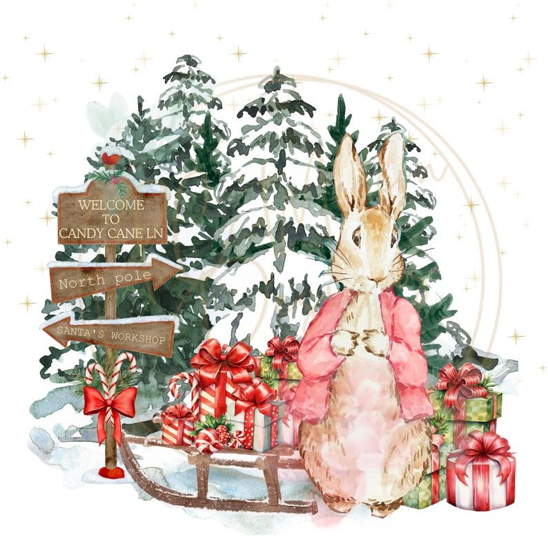 Red Bunny Christmas PNG, Peter Rabbit Red Christmas, Red Christmas ...