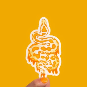 Może przedstawiać: Naklejka przedstawiająca pomarańczowego węża z białym i pomarańczowym wzorem, zwiniętego w spiralę. Naklejka znajduje się na żółtym tle.