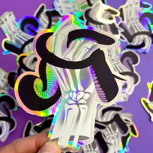 Mexican Black Kingsnake Holographic Sticker