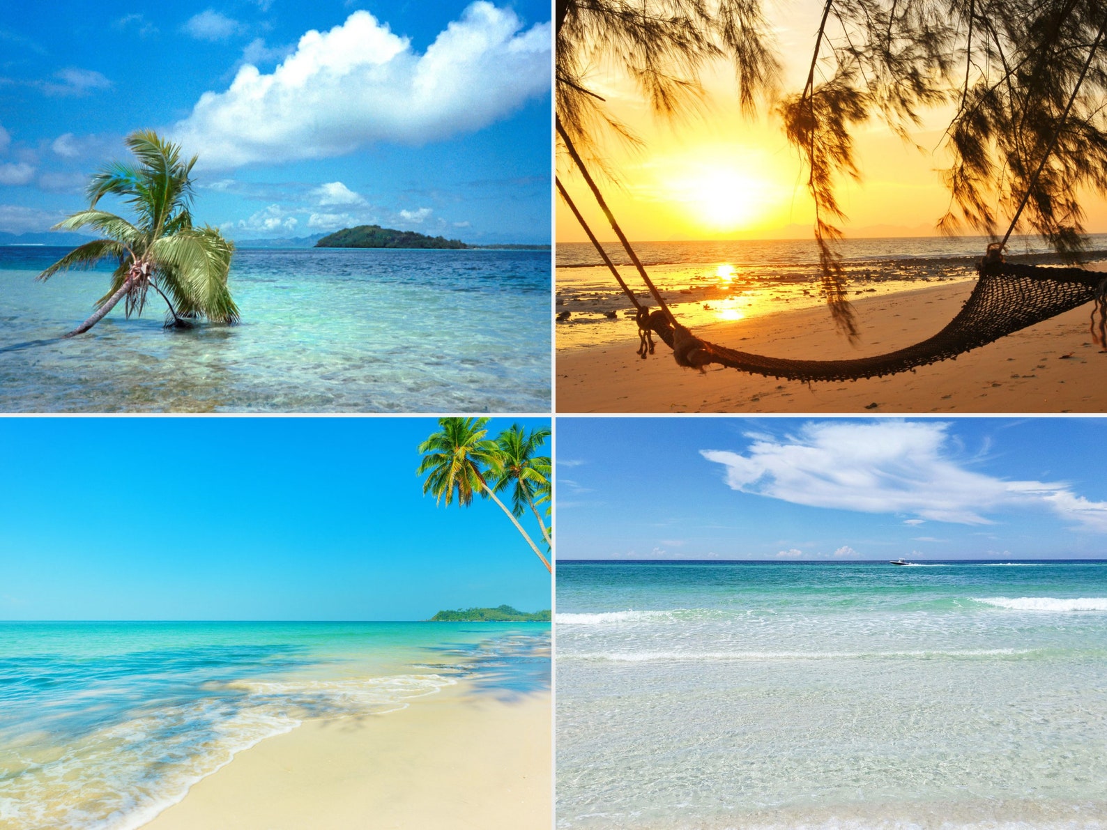 30 Zoom Backgrounds Beaches Virtual Backgrounds Zoom Etsy