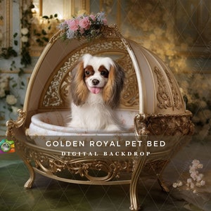 May include: A golden pet bed with a canopy, featuring ornate details and a white cushion. A small dog sits inside the bed, looking at the camera.
