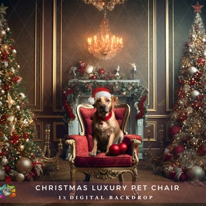 Christmas Digital Dogs Cats Bed, Dog Cat Animal Digital Backdrop, Pet Portraits, Holidays Pets Digital Background, XMAS, Dog Bed, Cat Bed
