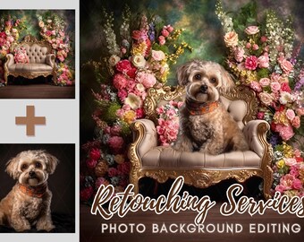 Professional Photo Background Editing: Composite Backdrop Service