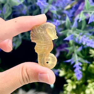 Seahorse yellow fluorite, sea horse, sea creature, aquatic stone carving, crystal decor, kids gift, home decor, collectible, metaphysical