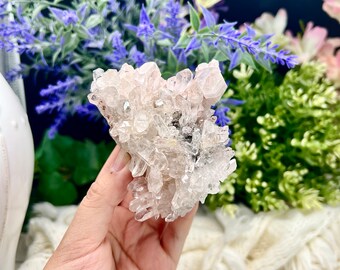 May include: A cluster of clear quartz crystals with a pink hue. The crystals are clustered together in a natural formation, creating a unique and beautiful piece.