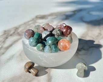 Mini mushroom crystal carvings, labradorite, moss agate, ocean jasper, fire quartz, mini decor