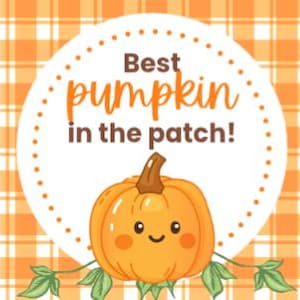 Puede incluir: Una calabaza de dibujos animados con una cara sonriente y hojas verdes está centrada en un círculo blanco con el texto "Best pumpkin in the patch!". El fondo es un patrón de cuadros naranja y blanco.