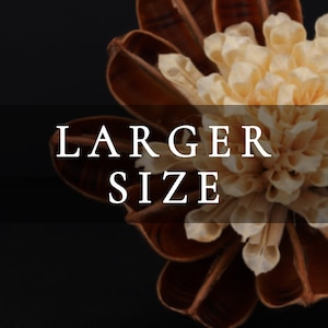May include: A close-up of a dried flower arrangement with brown seed pods and cream-colored petals. The text "LARGER SIZE" is displayed in white letters on a black background.