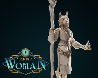 Dobra - Female Tabaxi Sorcerer - DND is a Woman - Pathfinder - D&D - TTRPG