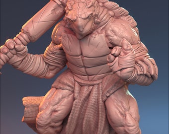 Male Tortle Barbarian for TTRPG by HardWitch Games - Agost Imakh - Pathfinder - D&D - TTRPG - Gift for Gamers