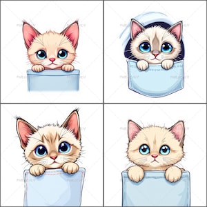 Siamese Pocket Cat PNG Bundle, Cute Kitten Clipart Set, Cartoon Animal Design, Pet Graphics for Shirts