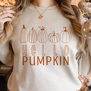 May include: A beige sweatshirt with a brown graphic of pumpkins and the text "HELLO PUMPKIN".