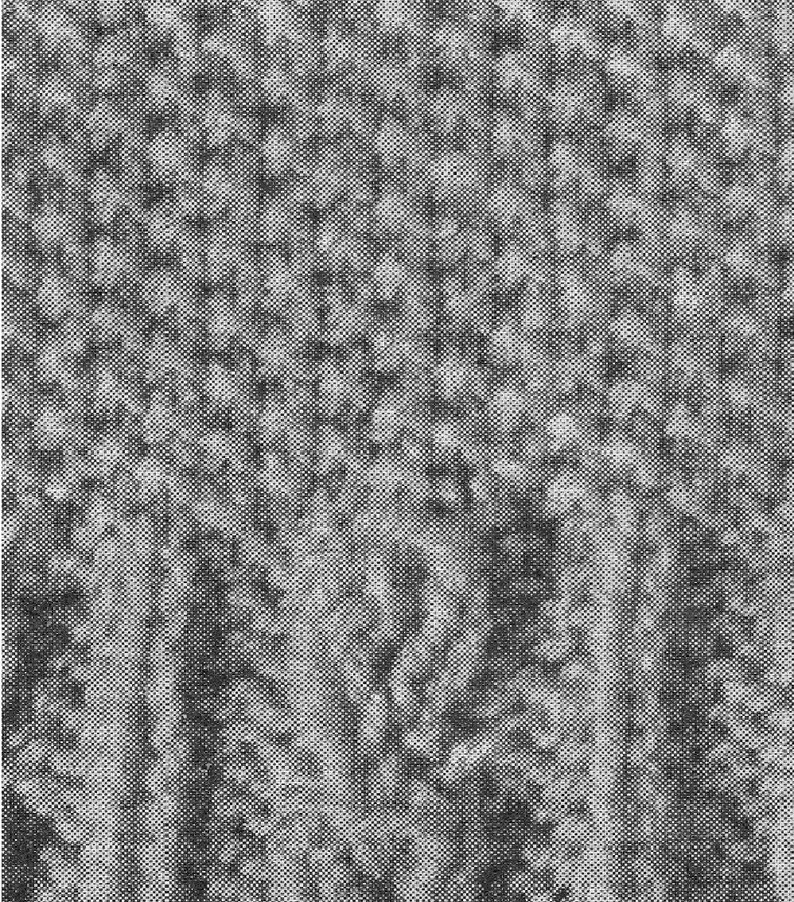 May include: A black and white abstract pattern with a textured look. The pattern is made up of small dots and lines.