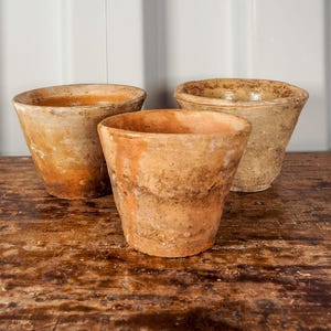 Vintage Antique French Pine Resin Collection Pot / Terracotta Plant Pot (Sold Individually)