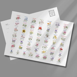 May include: A white postcard featuring a grid of fifty colorful botanical illustrations representing the official state flowers of the United States, each labeled with the state name and flower species. The back includes a stamp box and lines.