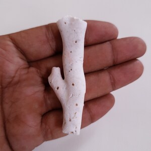 JAPANESE CORAL TREE ! 70.30'Ct 100%Natural Japanese White Coral Rough Loose Branch Gemstone Fine Quality Coral Tree Non Polished Tree.