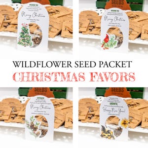 CHRISTMAS PARTY Favor • Stocking Stuffer • Hosting •  Employee Appreciation • New Year's • Wildflowers • Personalized • ShakerSeeds®