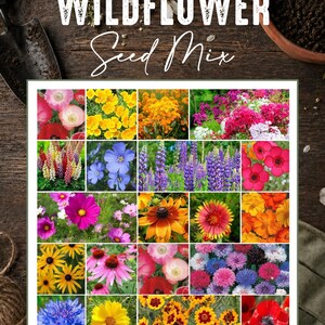 May include: A rectangular collage of twenty individual photographs displaying various colorful wildflowers, including poppies, lupines, and daisies. The text "WILDFLOWER Seed Mix" is printed in white and script fonts above the floral grid.