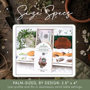 May include: A white paper seed packet featuring a QR code, the text Wildflower Seed Mix, and a cutout window revealing contents. A fifty-dollar bill is tucked behind the packet. The packet measures 2.5 inches by 4 inches as stated in the text.