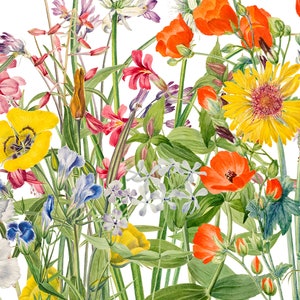 May include: A watercolor painting of a bouquet of wildflowers in shades of red, yellow, blue, and white. The flowers are arranged in a loose, natural style, and the background is a white.