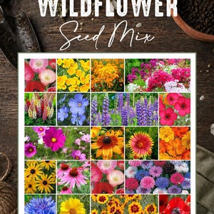 May include: A rectangular packet of wildflower seed mix featuring the text WILDFLOWER Seed Mix. The design displays a grid of twenty individual photographs showcasing various colorful flowers including poppies, lupines, cosmos, and cornflowers.