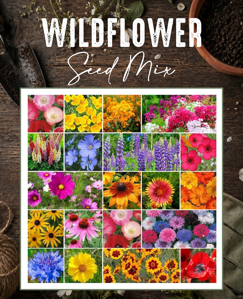 May include: A rectangular packet of wildflower seed mix featuring the text WILDFLOWER Seed Mix. The design displays a grid of twenty individual photographs showcasing various colorful flowers including poppies, lupines, cosmos, and cornflowers.