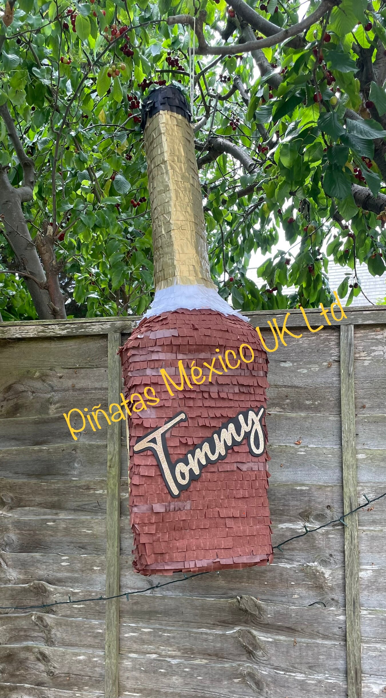 Medium Hennessy Bottle Pinata Drink Cocktail Piñata 18th 21st ...